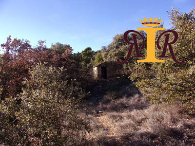 Terrain agricole - 17 700 m²