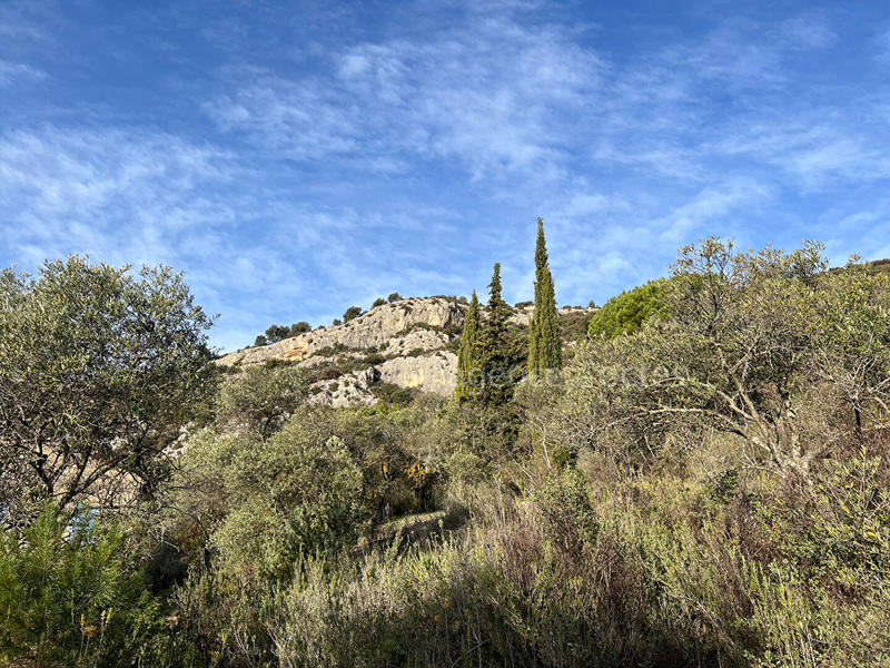 Maison - 195 m² - 7 pièces