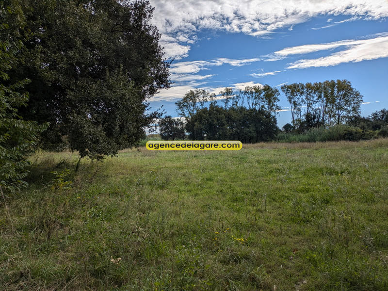 Terrain agricole - 6 000 m²