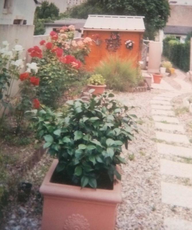 Maison - 71 m² - 3 pièces