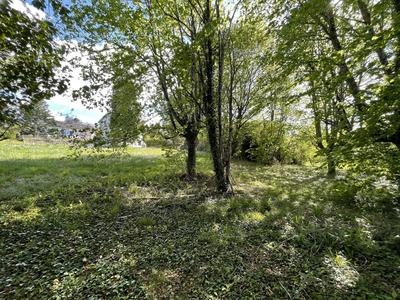 Terrain - 1 559 m²
