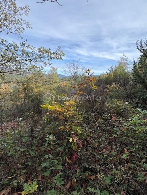 Terrain de loisirs - 10 850 m²