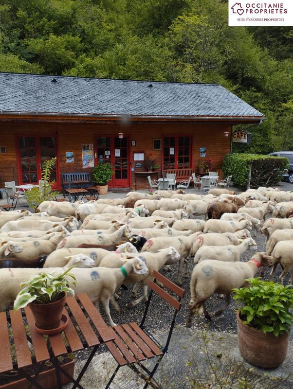 Propriété - 280 m² - 11 pièces