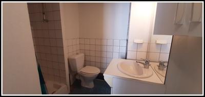 Appartement - 28 m² - 1 pièce