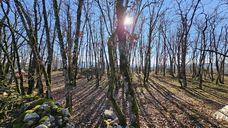 Terrain - 80 524 m²