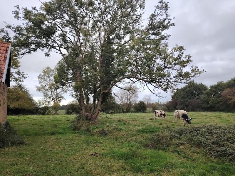 Maison - 64 m² - 3 pièces