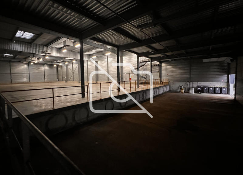 Entrepôt - 3 668 m²