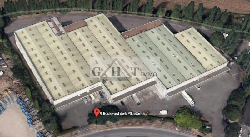 Entrepôt - 3 550 m²