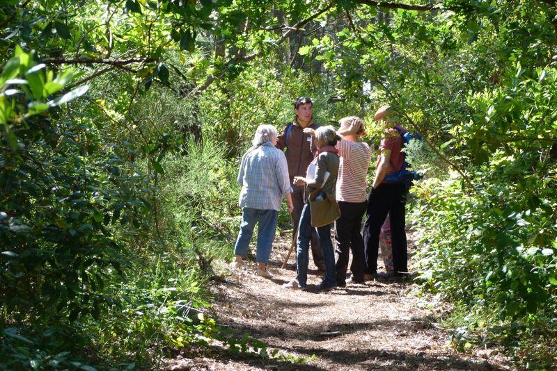 Visite Guidée : Forêt Dunaire de Camicas