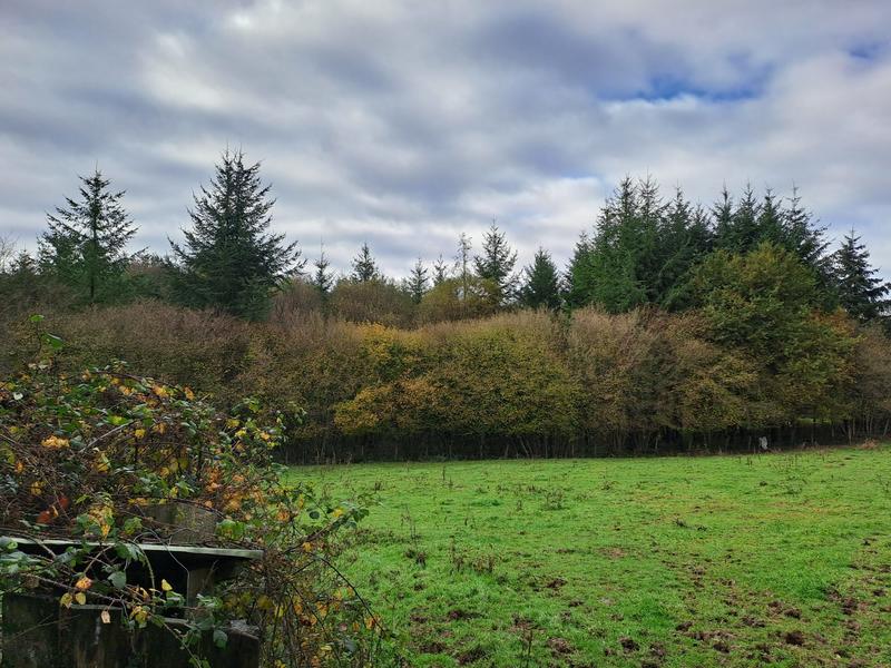 Maison ancienne - 160 m² - 6 pièces