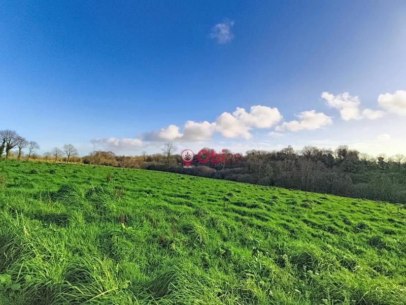 Ferme - 105 m² - 6 pièces