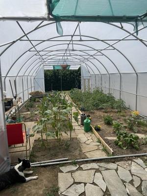 Maison - 240 m² - 11 pièces