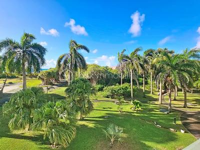 Studio - 20 m² - 1 pièce