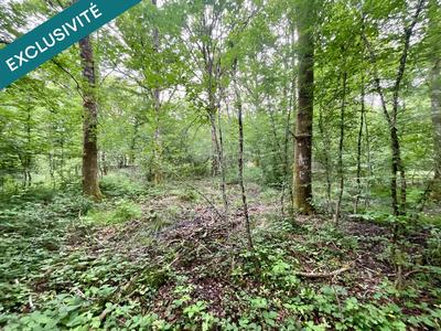 Terrain - 14 771 m²