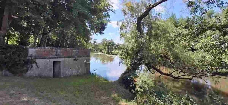 Château - 1 200 m² - 25 pièces