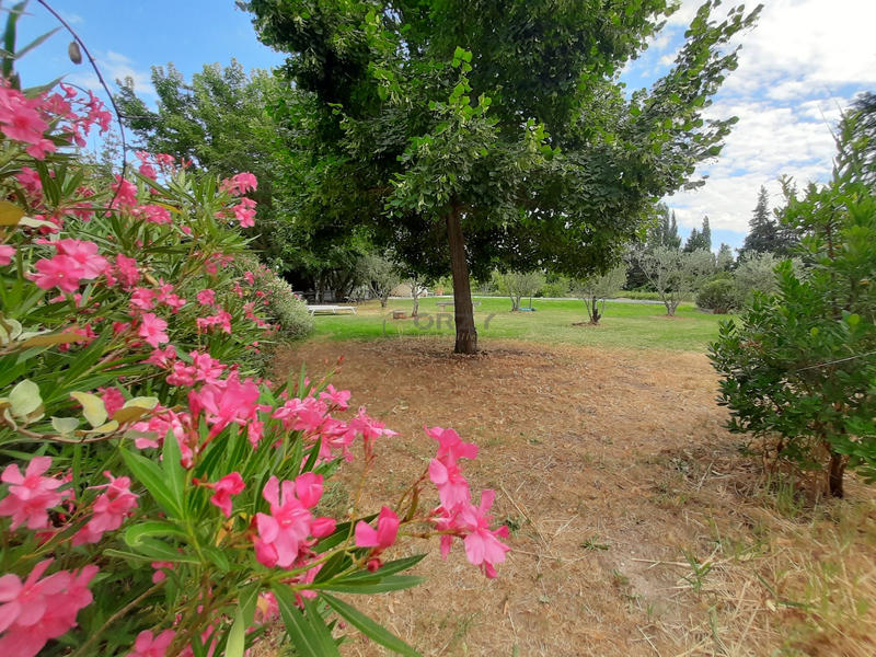 Maison - 492 m² - 12 pièces