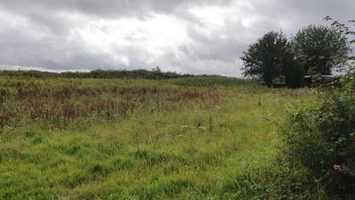 Terrain constructible - 1 435 m²