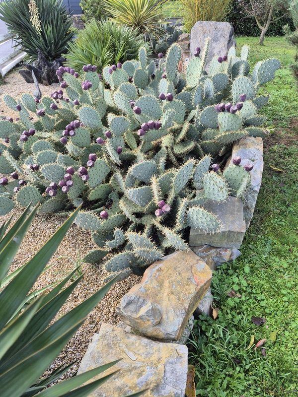 Maison - 85 m² - 3 pièces