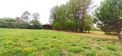 Maison - 250 m² - 1 pièce