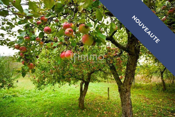 Terrain de loisirs - 900 m²