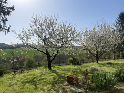 Maison - 155 m² - 7 pièces