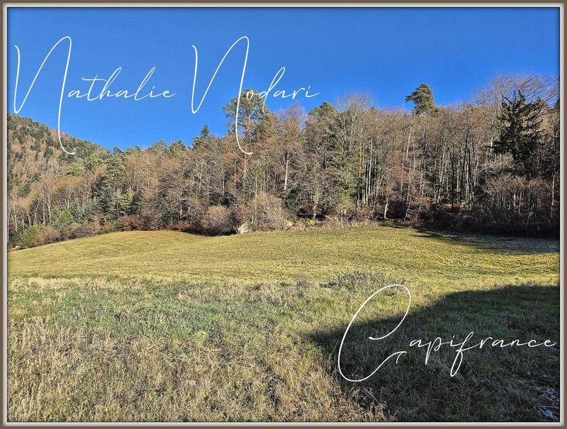 Maison de campagne - 219 m² - 8 pièces