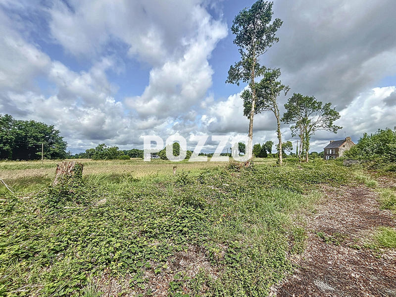 Local d'activité / Entrepôt - 380 m²