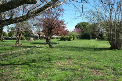 Maison - 134 m² - 4 pièces