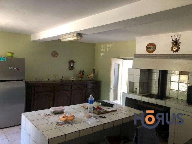 Viager - Maison - 517 m² - 16 pièces