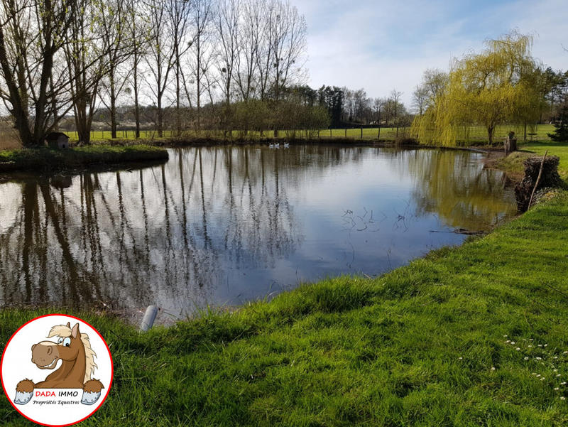 Maison - 300 m² - 8 pièces