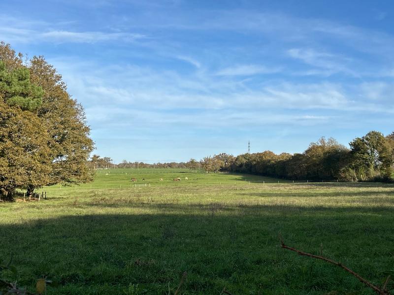 Maison - 265 m² - 5 pièces