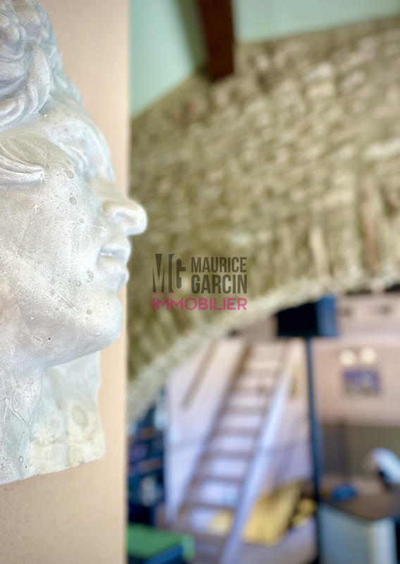 Maison - 415 m² - 14 pièces