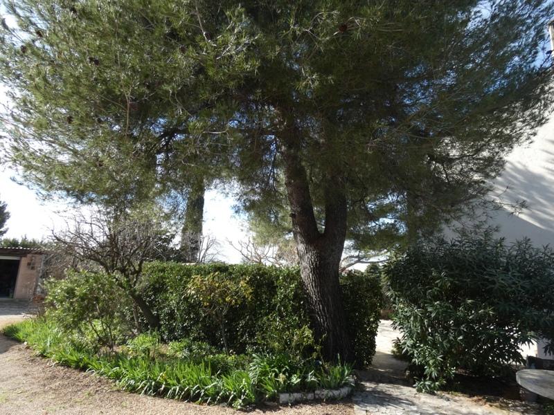 Maison en pierre - 220 m² - 7 pièces