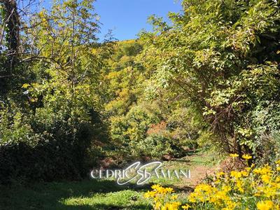 Terrain constructible - 1 729 m²