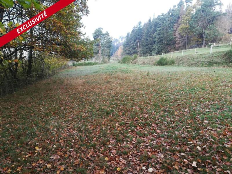 Terrain constructible - 1 750 m²