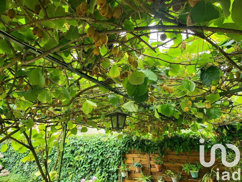 Maison - 75 m² - 4 pièces