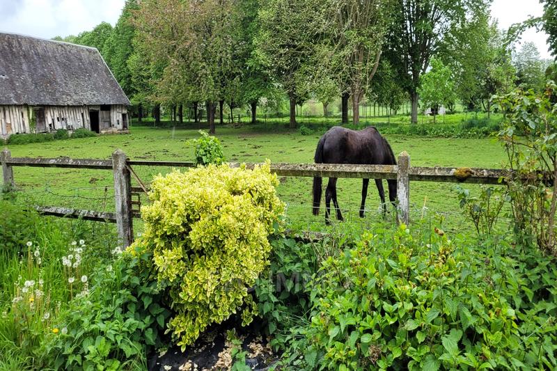 Propriété - 320 m² - 7 pièces