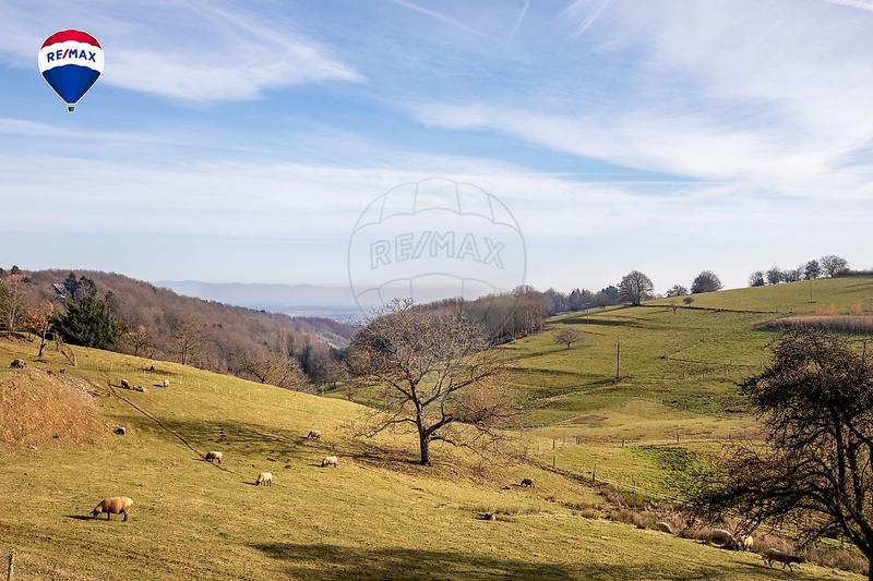 Immeuble - 245 m² - 10 pièces