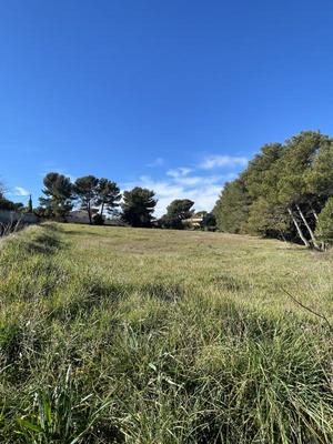 Terrain constructible - 598 m²