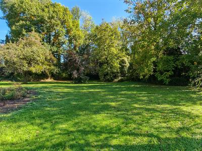 Terrain constructible - 1 235 m²