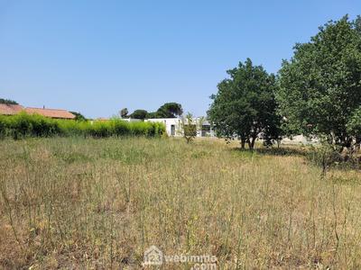Terrain - 1 126 m²