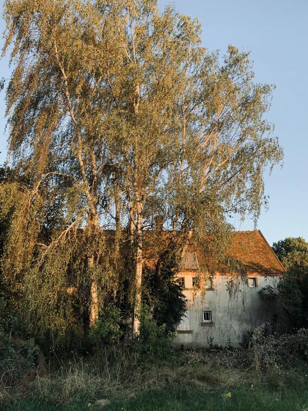 Maison ancienne - 287 m² - 10 pièces