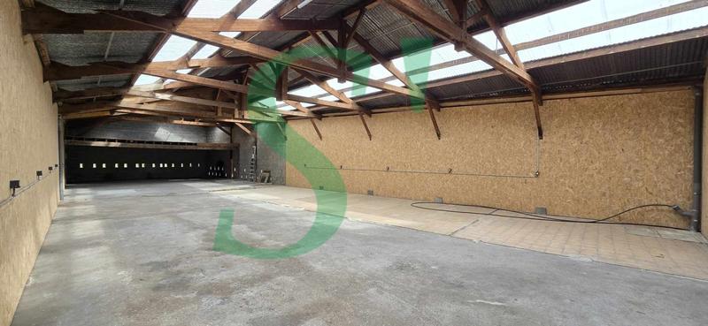 Entrepôt - 223 m² - 1 pièce