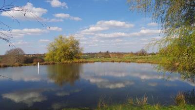 Terrain - 18 368 m²