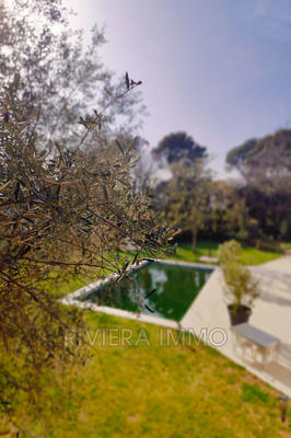 Villa - 350 m² - 9 pièces