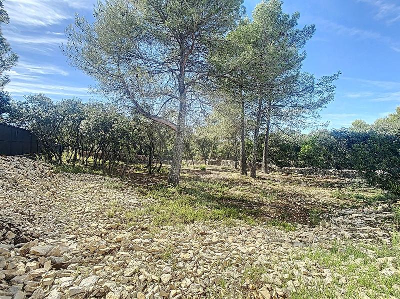 Maison - 228 m² - 5 pièces