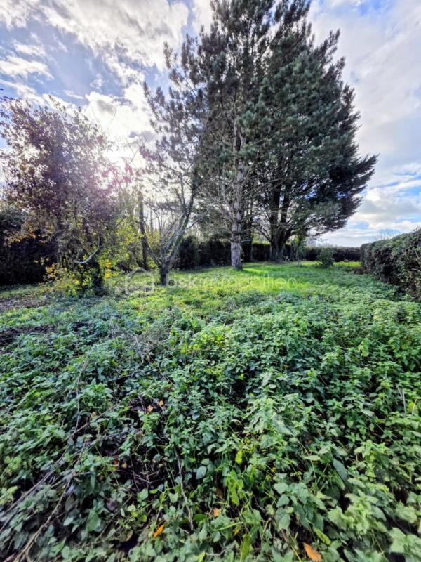 Maison de campagne - 76 m² - 4 pièces