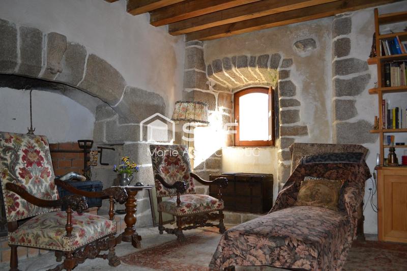 Château - 400 m² - 15 pièces