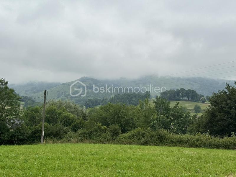 Maison de maîtres - 230 m² - 8 pièces