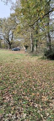 Terrain de loisirs - 2 551 m²